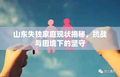 山东失独家庭现状揭秘,挑战与困境下的坚守