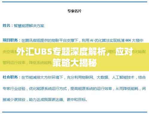 外汇UBS专题深度解析,应对策略大揭秘