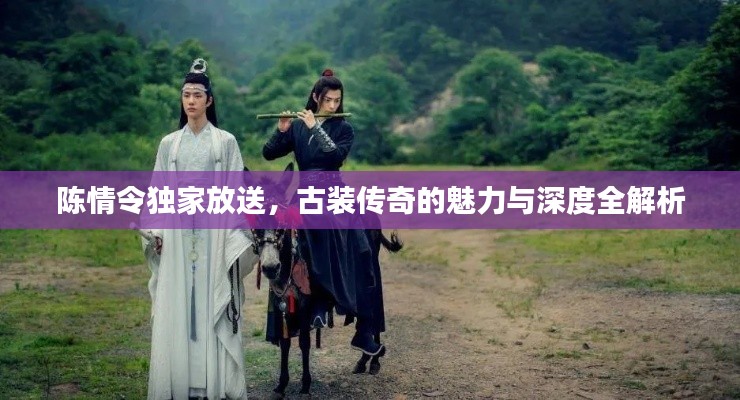陈情令独家放送,古装传奇的魅力与深度全解析