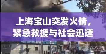 上海宝山突发火情,紧急救援与社会迅速响应