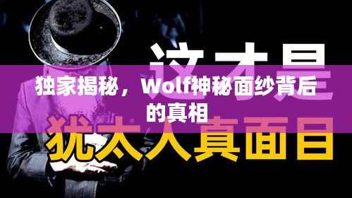 独家揭秘,Wolf神秘面纱背后的真相