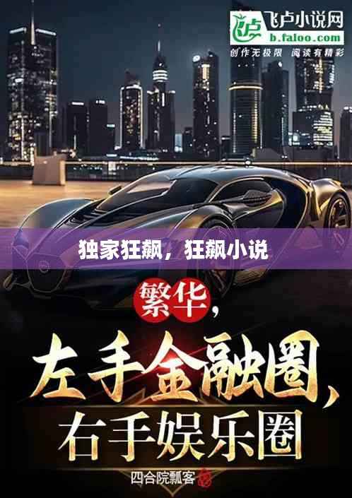 独家狂飙,狂飙小说