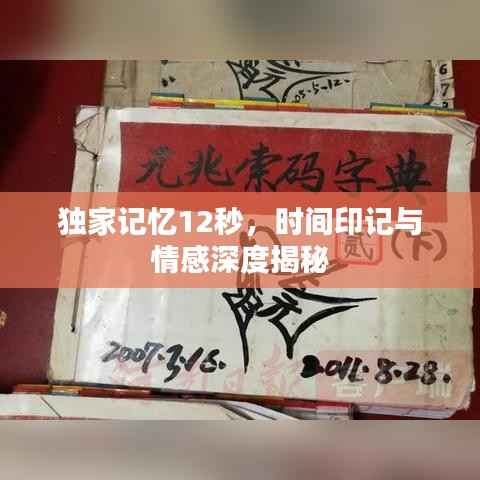 独家记忆12秒,时间印记与情感深度揭秘