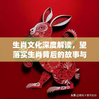 生肖文化深度解读,望落实生肖背后的故事与传承