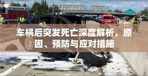 车祸后突发死亡深度解析,原因、预防与应对措施