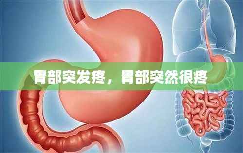 胃部突发疼,胃部突然很疼