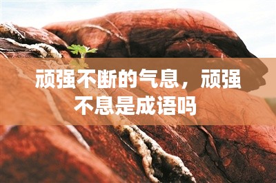 顽强不断的气息,顽强不息是成语吗