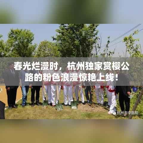 春光烂漫时,杭州独家赏樱公路的粉色浪漫惊艳上线!