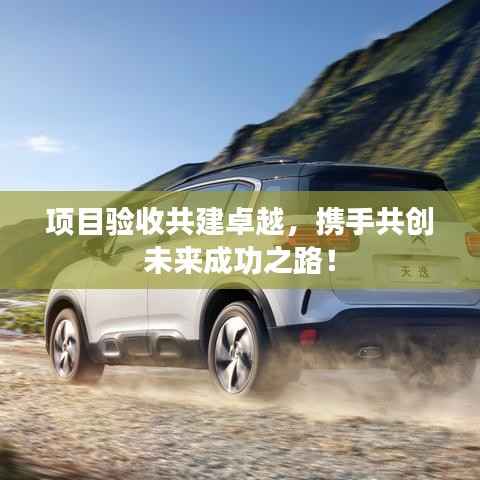 项目验收共建卓越,携手共创未来成功之路!