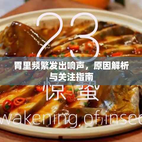 胃里频繁发出响声,原因解析与关注指南
