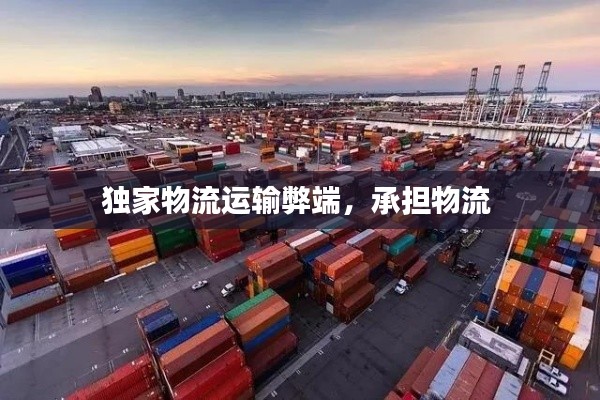 独家物流运输弊端,承担物流