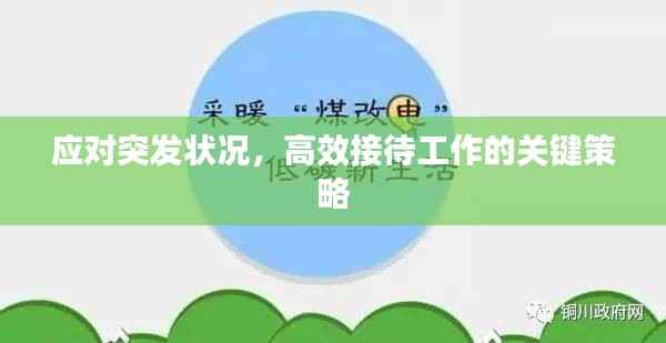 应对突发状况，高效接待工作的关键策略