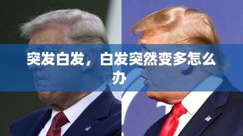 突发白发,白发突然变多怎么办