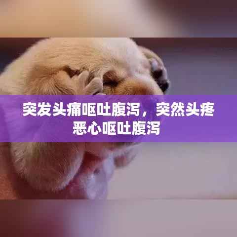 突发头痛呕吐腹泻，突然头疼恶心呕吐腹泻 