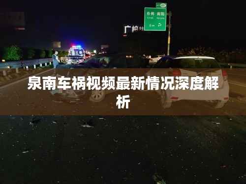 泉南车祸视频最新情况深度解析
