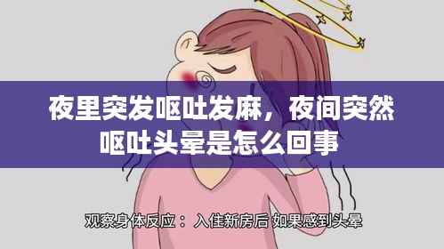 夜里突发呕吐发麻,夜间突然呕吐头晕是怎么回事