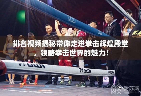 排名视频揭秘带你走进拳击辉煌殿堂,领略拳击世界的魅力!