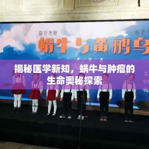 揭秘医学新知,蜗牛与肿瘤的生命奥秘探索