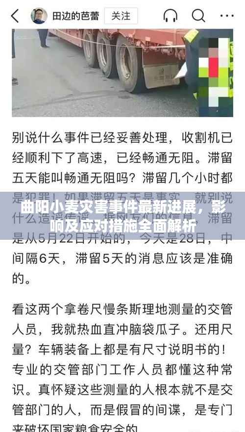 曲阳小麦灾害事件最新进展,影响及应对措施全面解析