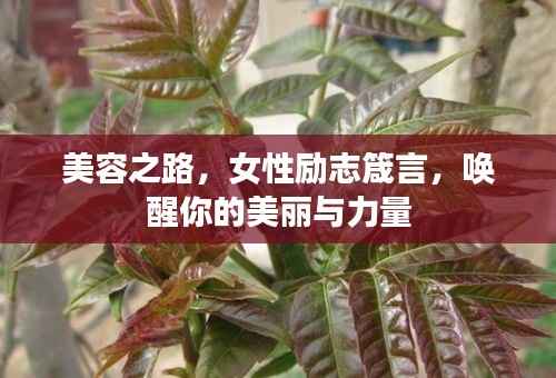 美容之路,女性励志箴言,唤醒你的美丽与力量