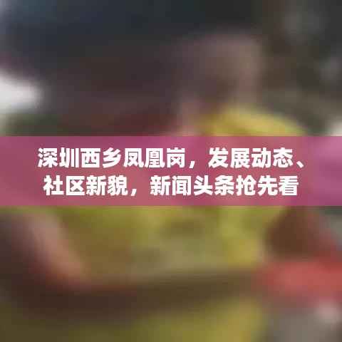 深圳西乡凤凰岗,发展动态、社区新貌,新闻头条抢先看