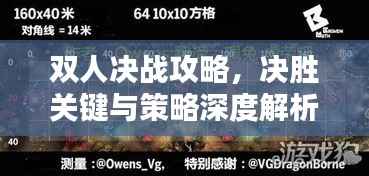 双人决战攻略,决胜关键与策略深度解析