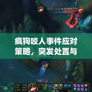 疯狗咬人事件应对策略,突发处置与预防方法