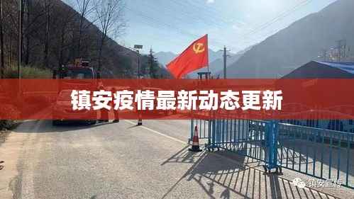 镇安疫情最新动态更新
