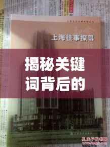 揭秘关键词背后的故事,探寻九州路合欢巷的神秘面纱