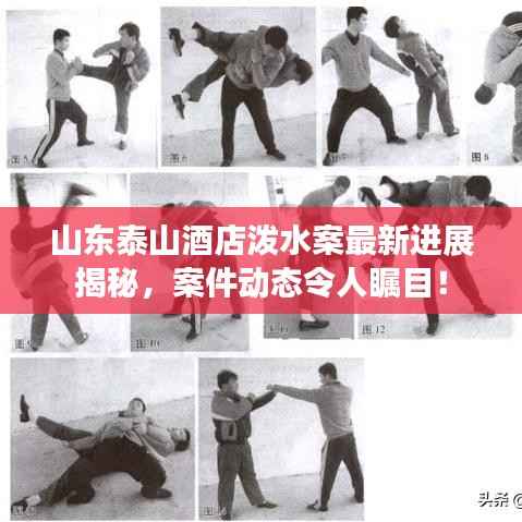 山东泰山酒店泼水案最新进展揭秘，案件动态令人瞩目！