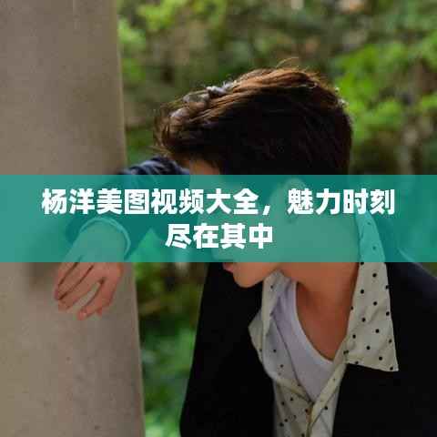 杨洋美图视频大全,魅力时刻尽在其中