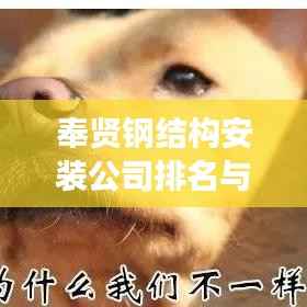 奉贤钢结构安装公司排名与市场深度解析
