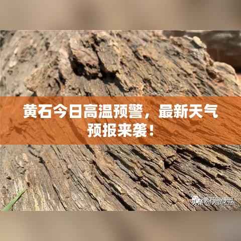 黄石今日高温预警,最新天气预报来袭!