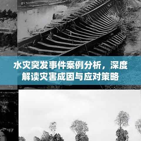水灾突发事件案例分析,深度解读灾害成因与应对策略