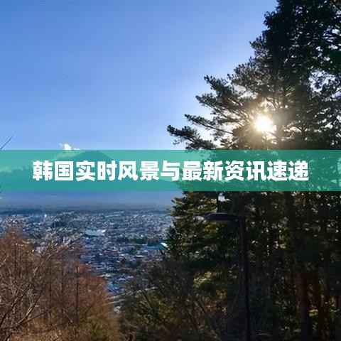 韩国实时风景与最新资讯速递