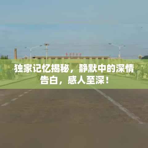 独家记忆揭秘,静默中的深情告白,感人至深!