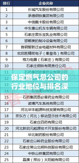 保定燃气总公司的行业地位与排名深度解析