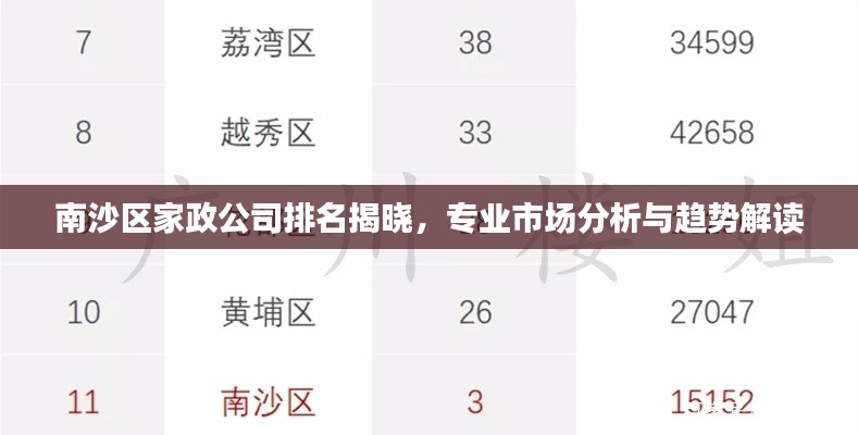 南沙区家政公司排名揭晓,专业市场分析与趋势解读