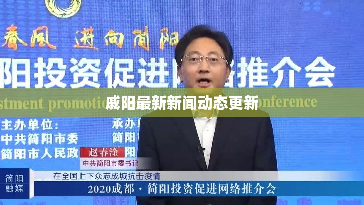 戚阳最新新闻动态更新