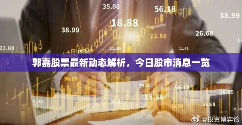 郭嘉股票最新动态解析,今日股市消息一览