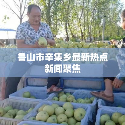 鲁山市辛集乡最新热点新闻聚焦