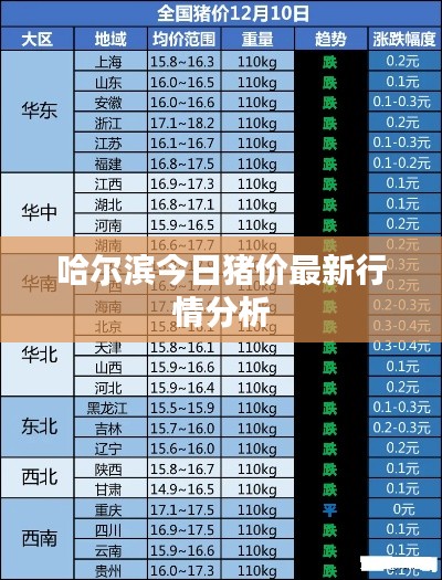 哈尔滨今日猪价最新行情分析