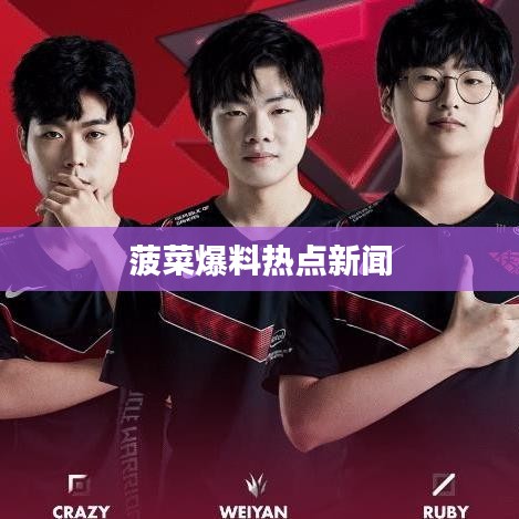 菠菜爆料热点新闻