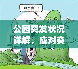 公园突发状况详解,应对突发事件全攻略