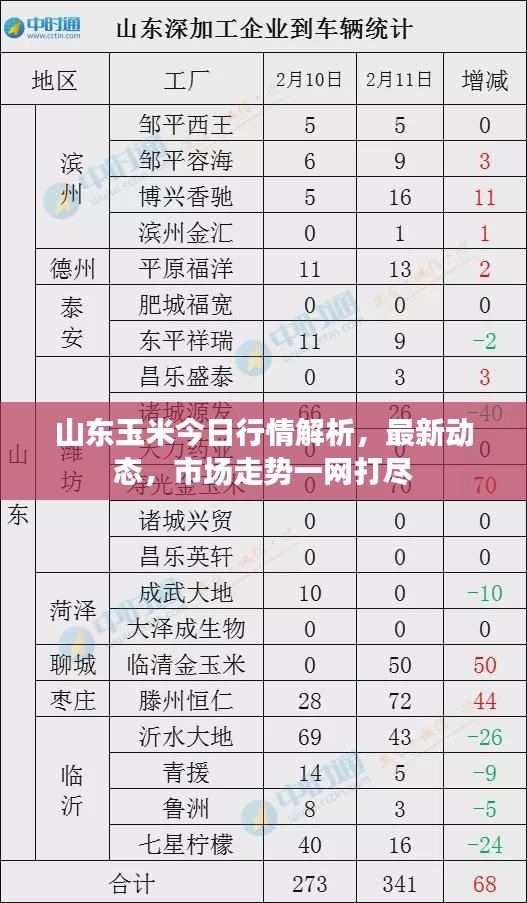 山东玉米今日行情解析,最新动态,市场走势一网打尽