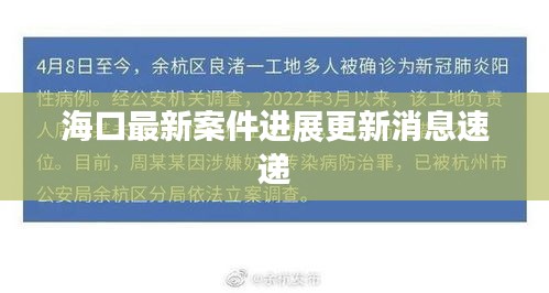 海口最新案件进展更新消息速递