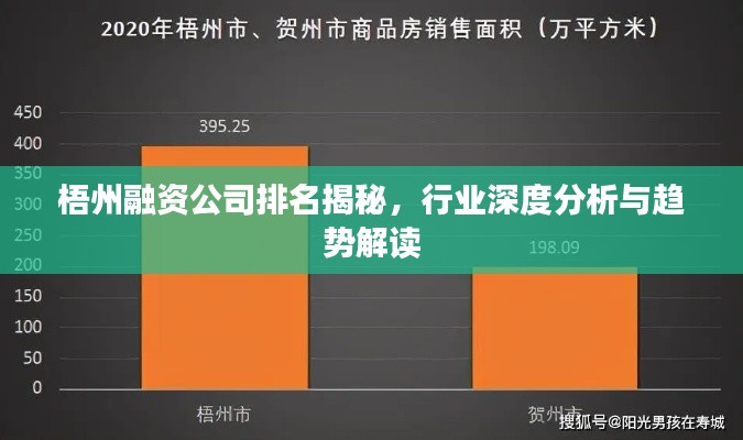 梧州融资公司排名揭秘,行业深度分析与趋势解读