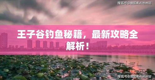 王子谷钓鱼秘籍,最新攻略全解析!