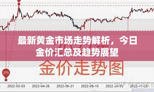 最新黄金市场走势解析,今日金价汇总及趋势展望