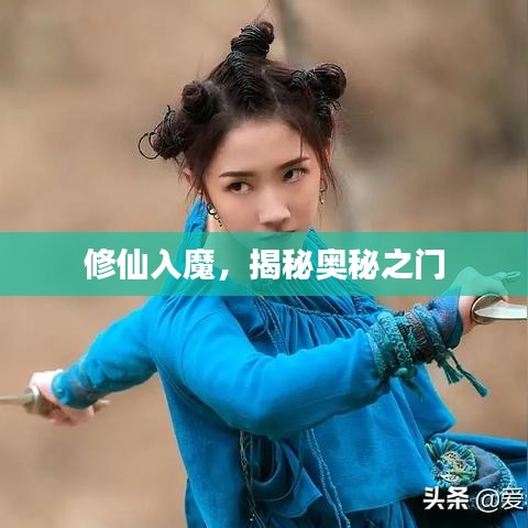 资料下载 第80页